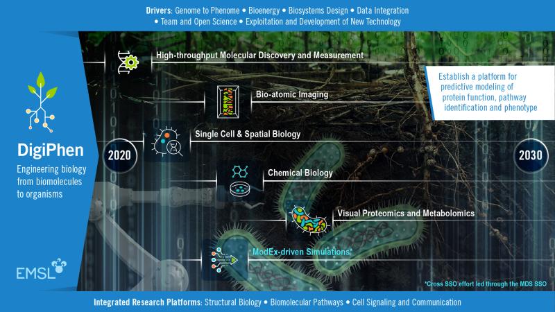 DigiPhen road map