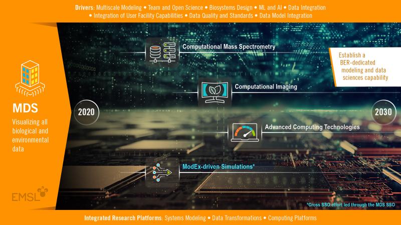 MDS roadmap