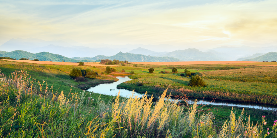 field and stream