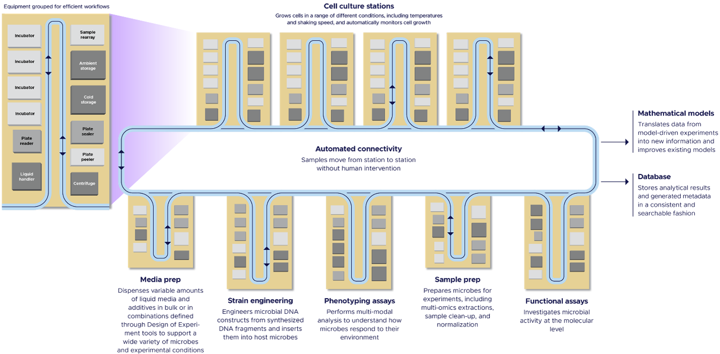 Interior illustration of the Microbial Molecular Phenotyping Capability (M2PC), including cell culture stations, automated connectivity, media prep, phenotyping assays, sample prep, functional assays, mathematical models, database