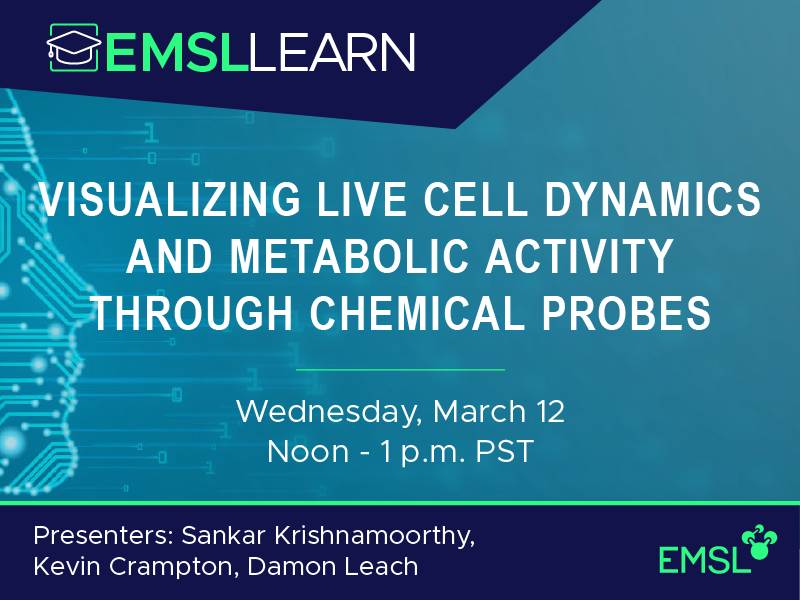 Visualizing Live Cell Dynamics and Metabolic Activity Through Chemical Probes
