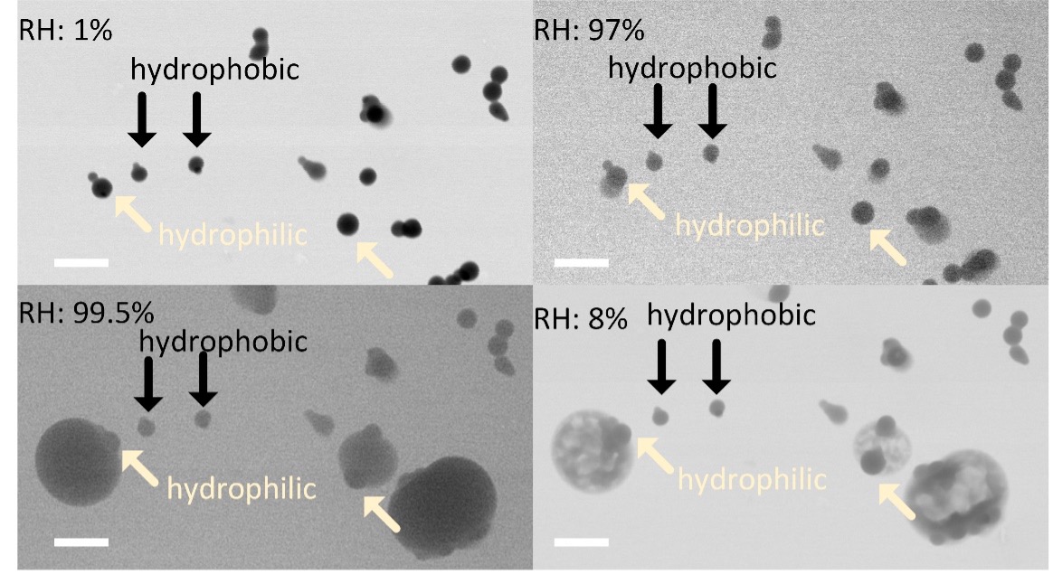 An electron microscopy image displays solid (spherical) particles which are emitted from wildfire. These particles typically strongly absorb sunlight. Moreover, black arrows indicate particles are hydrophobic, and light yellow arrows indicate particles are hydrophilic. Hydrophilic particles were found to have a water coating that enhance light absorption.