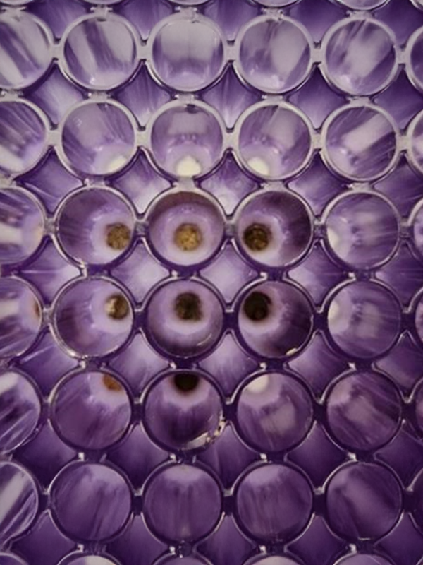 circular slots for soil samples 