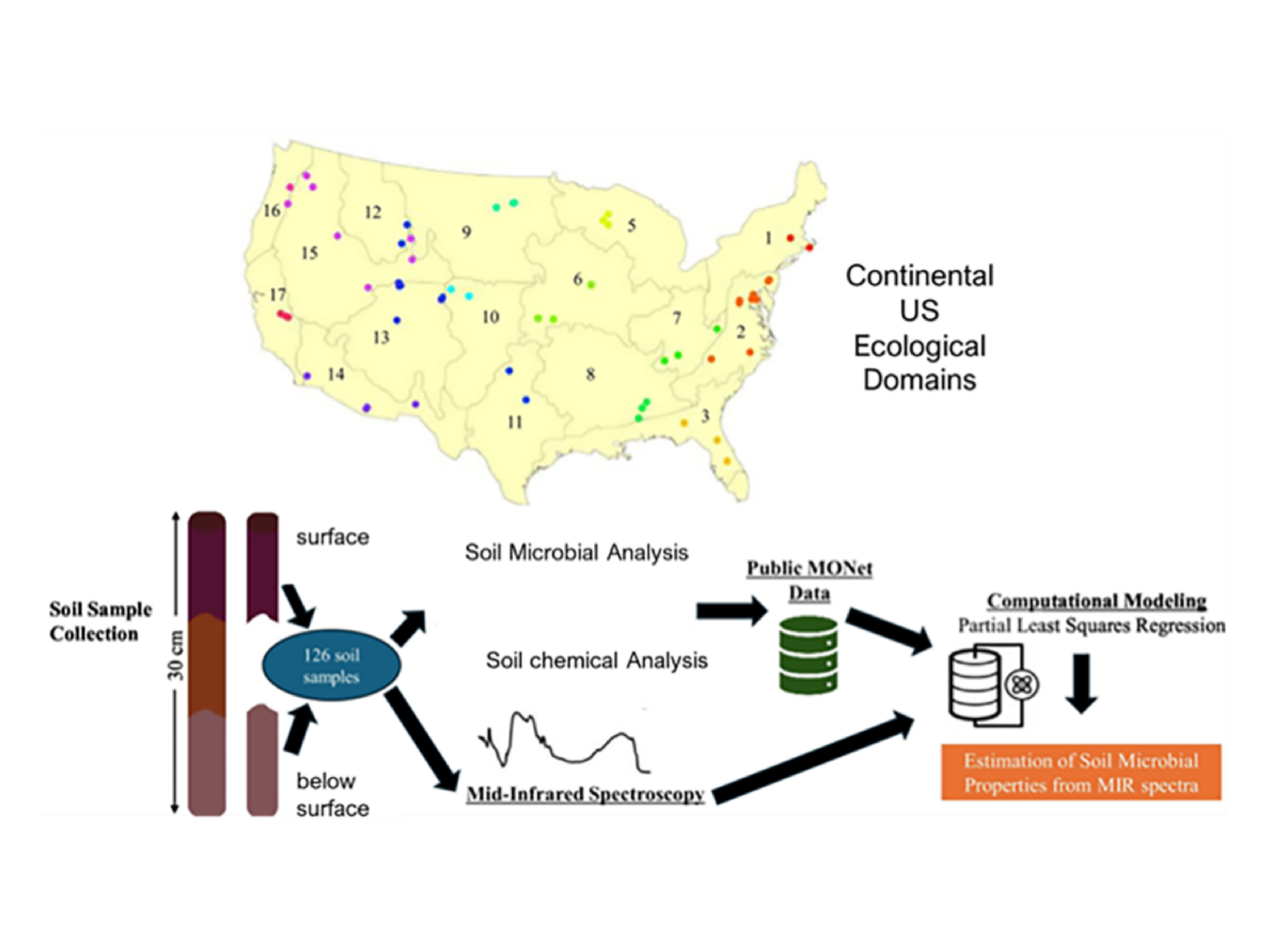 Map of the continental U.S. showing 17 ecological domains marked with numbered dots, accompanied by a flowchart on soil analysis process involving soil sample collection, chemical analysis through mid-infrared spectroscopy, data management, and computational modeling to estimate soil microbial properties.