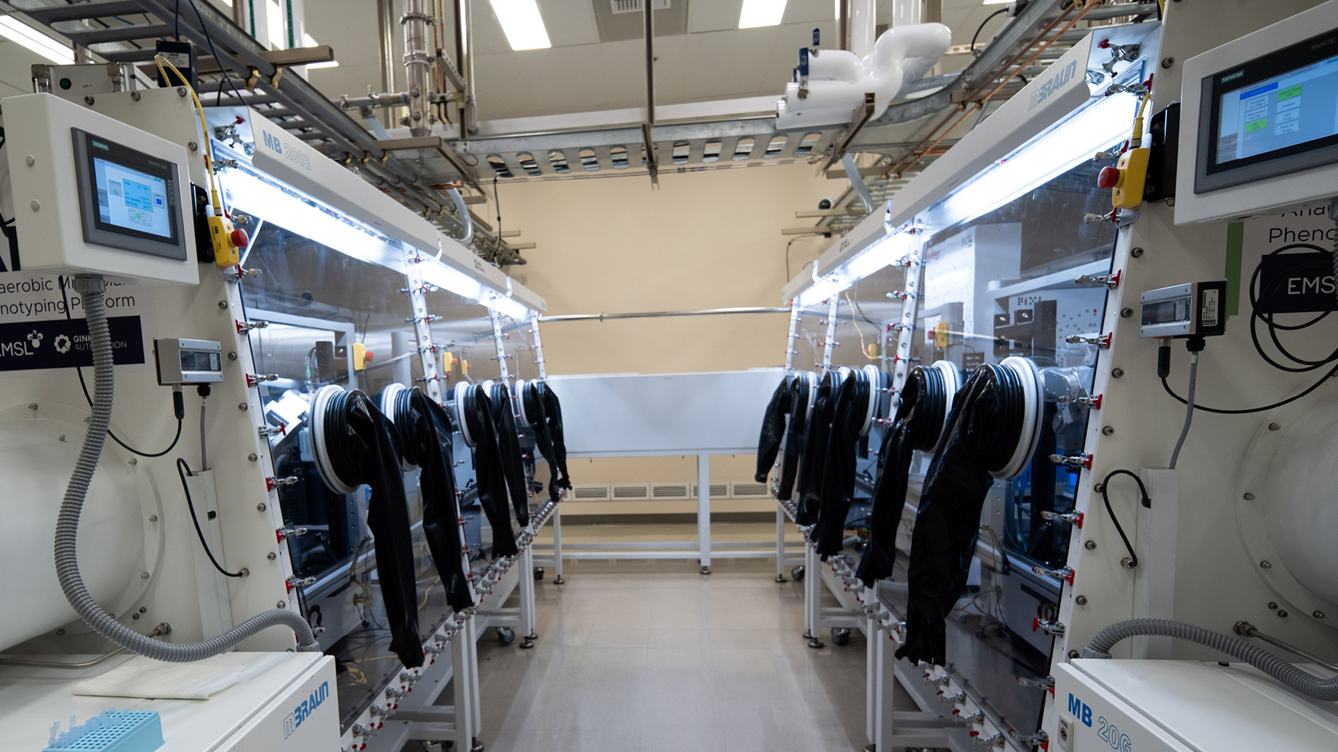 Photo of Anaerobic Microbial Phenotyping Platform (AMP2) equipment.