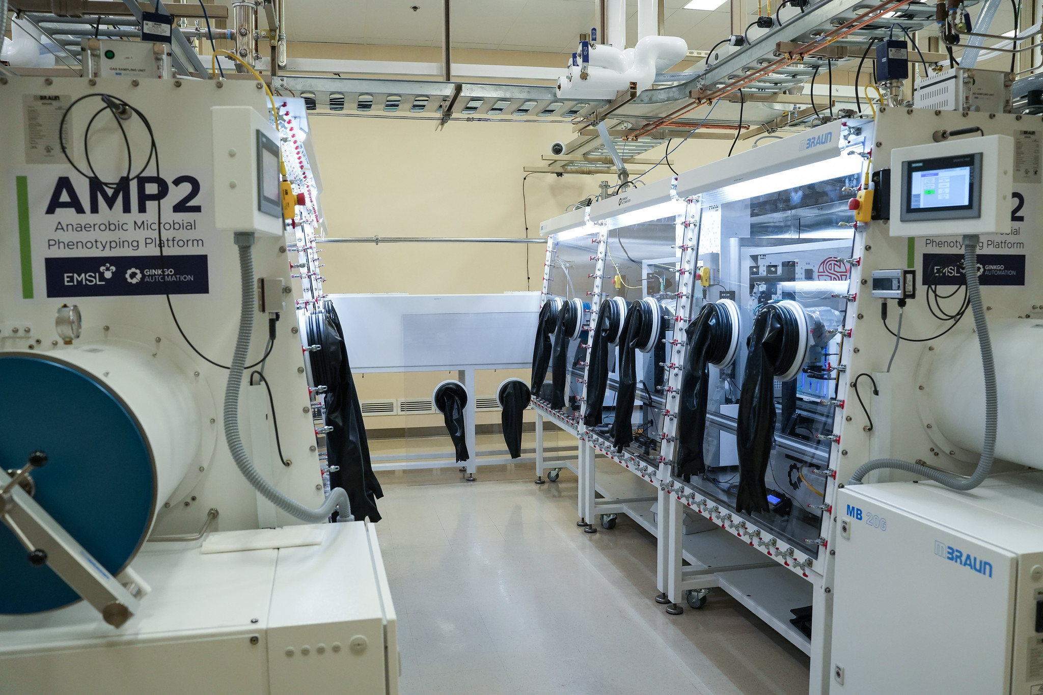 Photo of a view of one of the Anaerobic Microbial Phenotyping Platform bays containing multiple autonomous scientific capabilities.