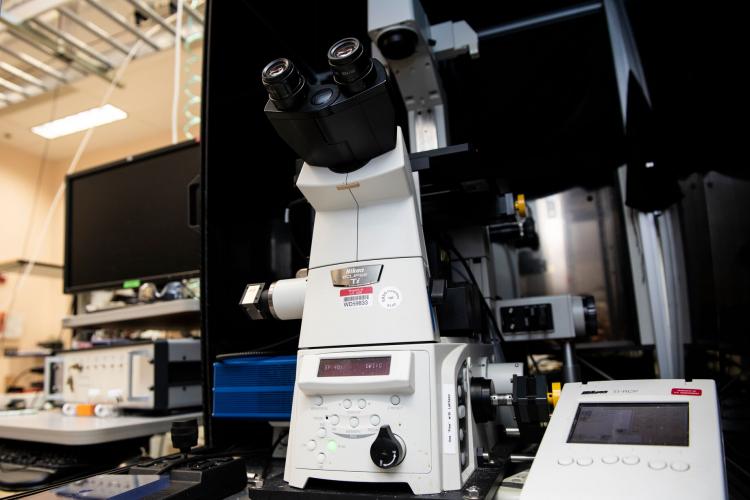 Confocal Raman Spectrometry