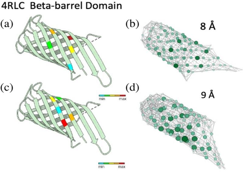 4RLC Beta-barrel Domain