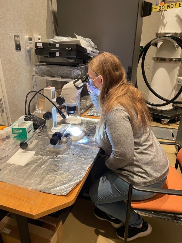 woman looks through microscope