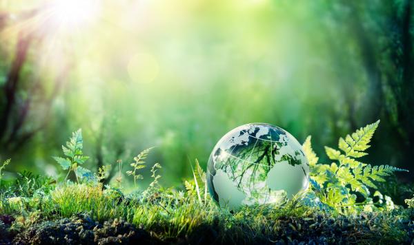 globe sitting in grass