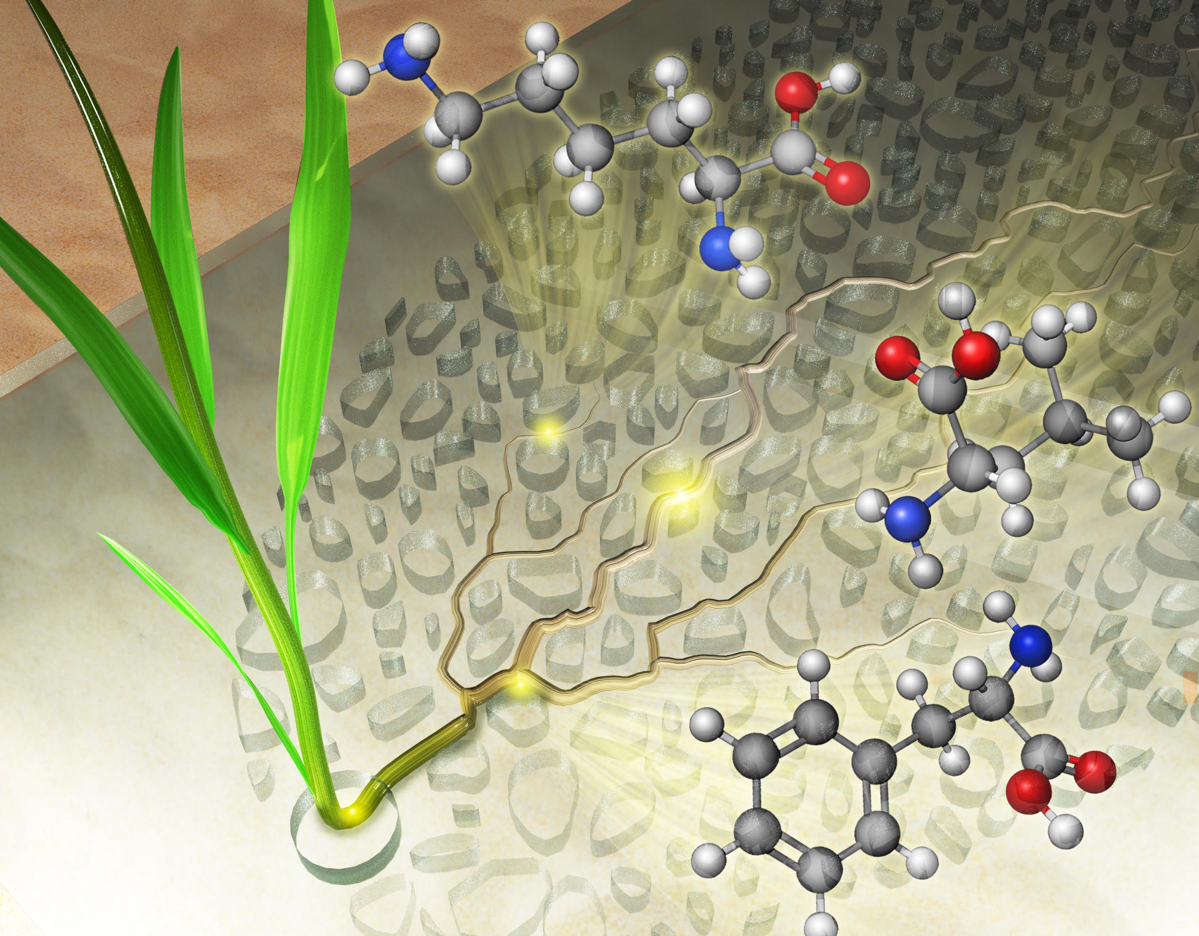 molecular information around a RhizoChip