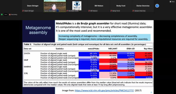 Metagenome assembly