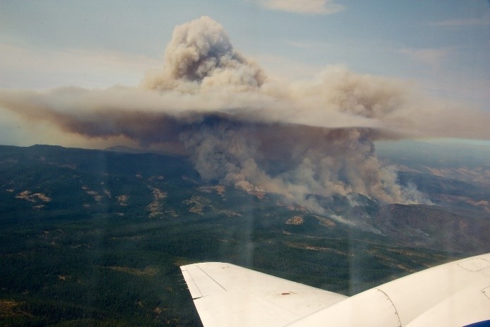 Image of a smoke plume in the atmosphere due to wildfire