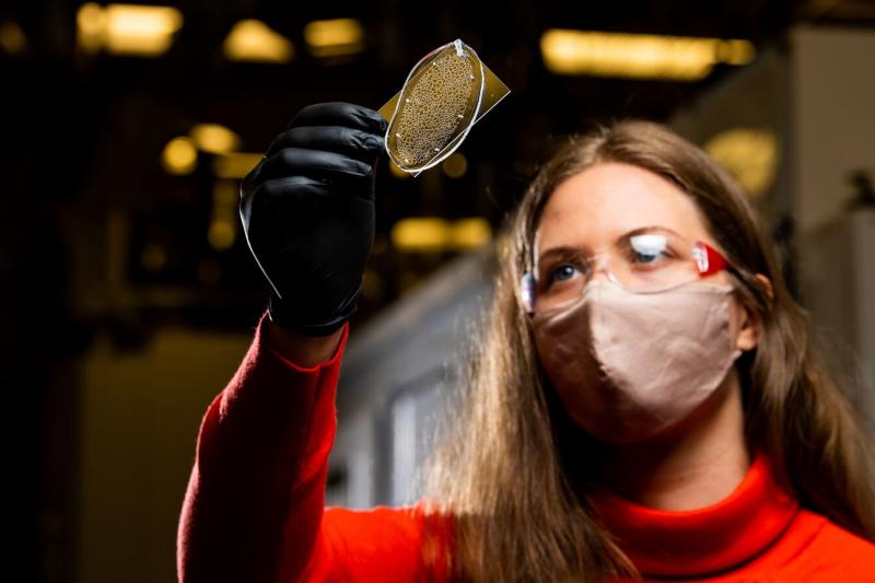 photo of researcher Jayde Aufrecht wearing a mask, safety glasses, and red shirt as she looks at a plant sample 