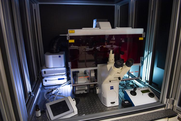 Stochastic Optical Reconstruction Microscopy and Photoactivated Localization Microscopy and Super Resolution Fluorescence Microscope