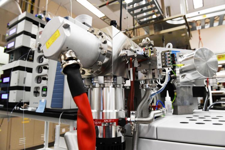 Isotope ratio mass spectrometry (IRMS)