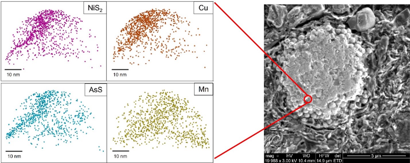 A spatial view graph of nanoscale copper, nickel, manganese, and arsenic zonation in pyrite framboids. Each are displayed in separate graphics as indicated by color.