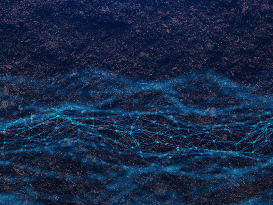blue waves with points over soil