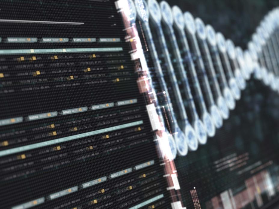 Computer sequences converge into a visual representation of a DNA strand on a digital screen