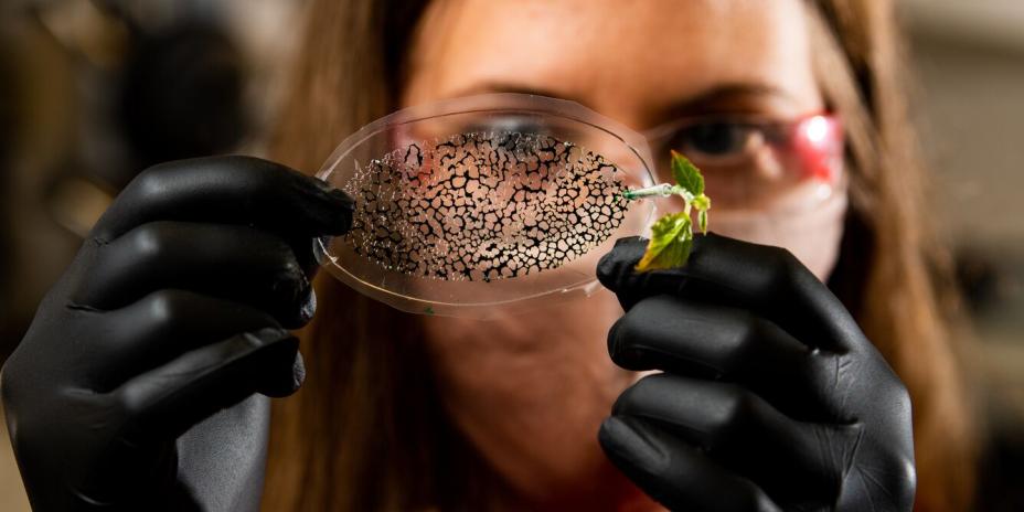 researcher in gloves holds a transparent sample