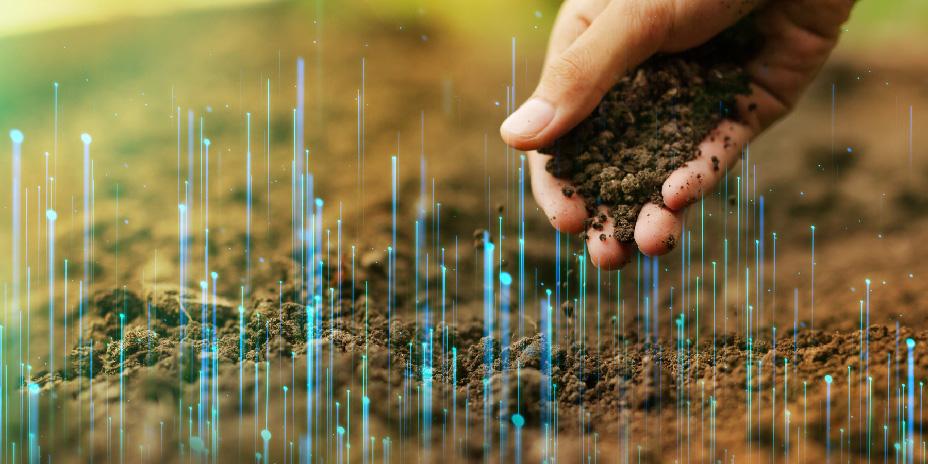 data points, hand, and soil