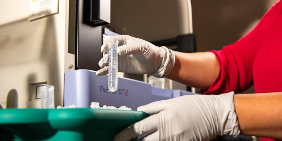 researcher in gloves holds test tube