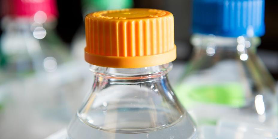 bottles with multi-colored lids