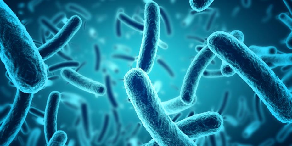 microbes