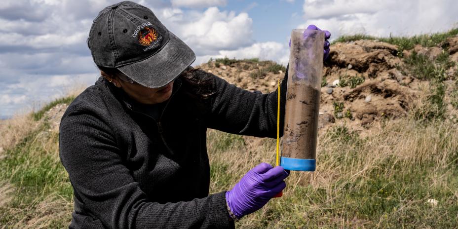 Man in rubber gloves looking at soil core in the field