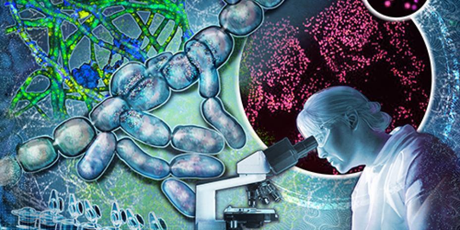 Cell Signaling and Communications