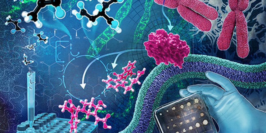 Biomolecular Pathways