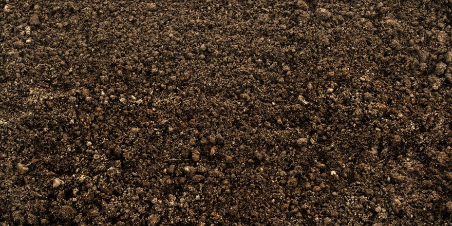 soil 