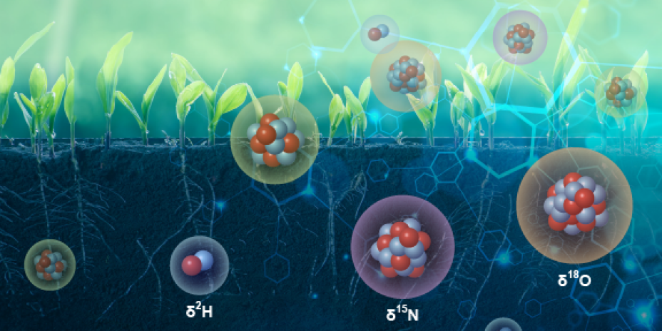 stable isotopes