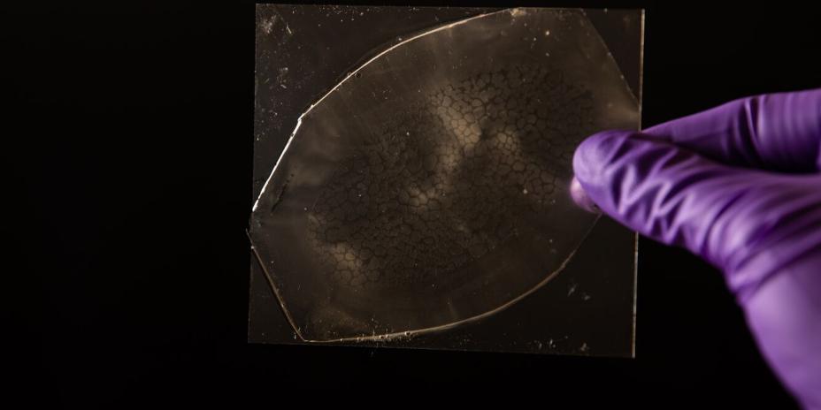 biocompatible epoxy