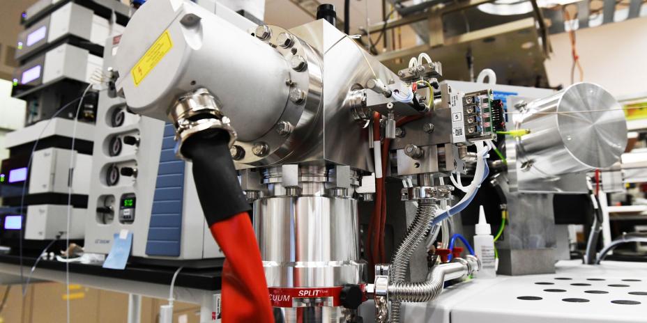 isotope ratio mass spectrometry