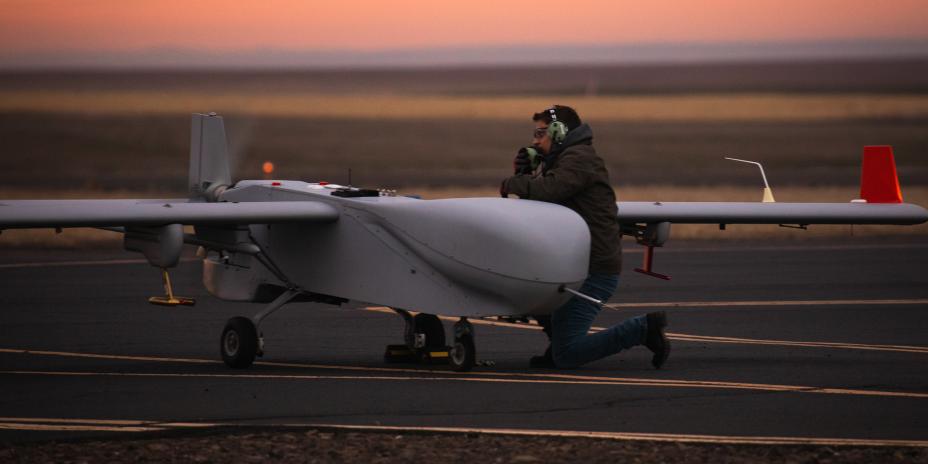 ArticShark on tarmac