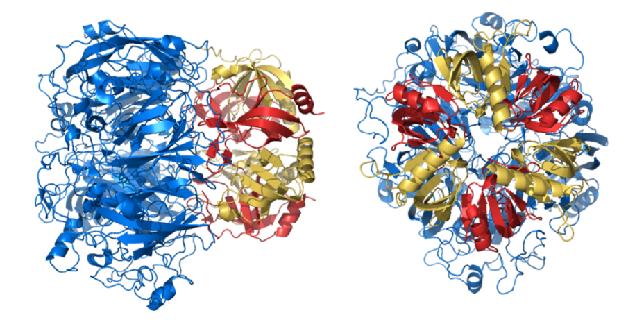 Mnx cryoEM structure