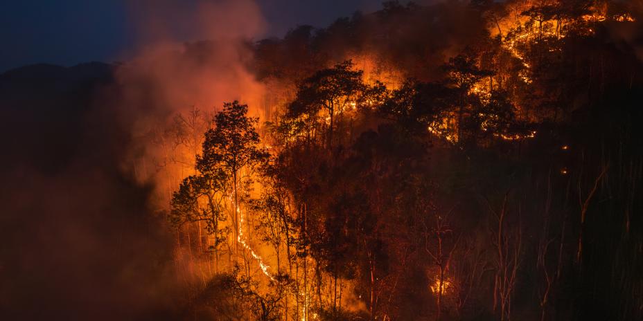 Smoke emerges from trees burning in a wildfire on a mountainside