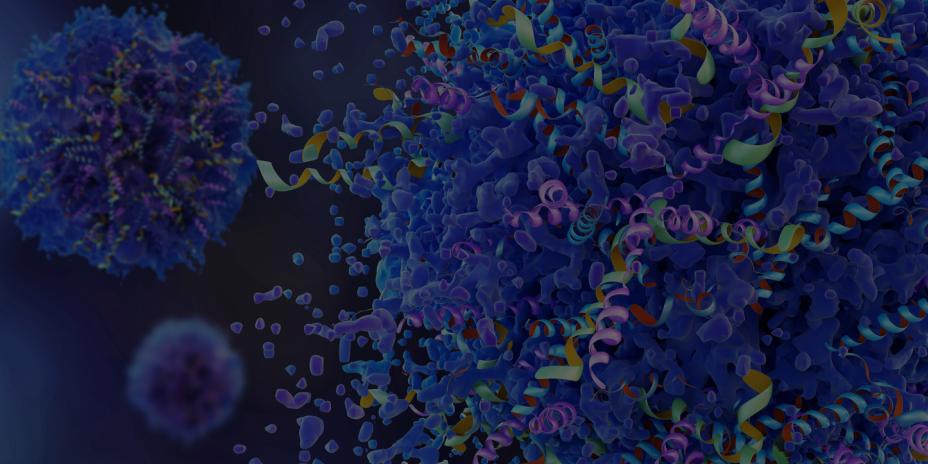 Graphic representation of cells and proteins.