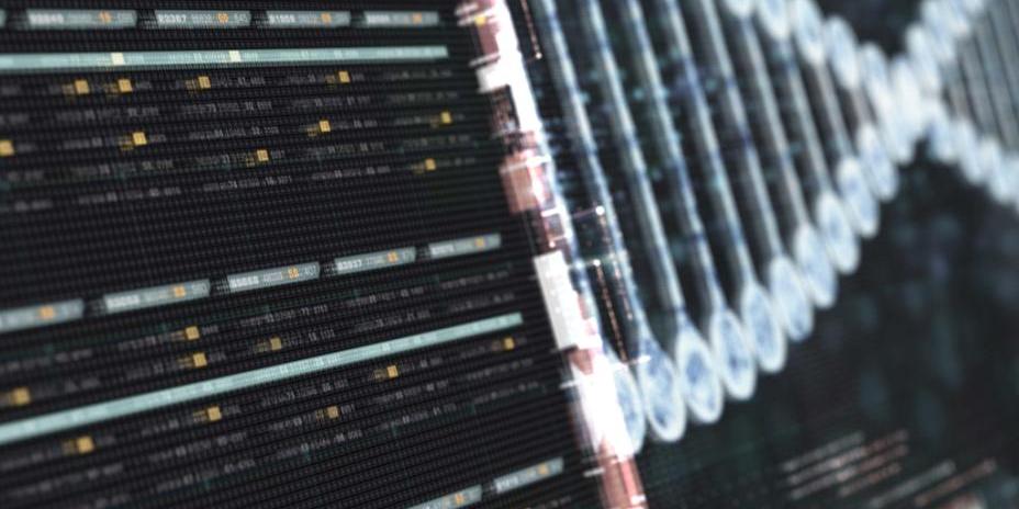 Photo of computer sequences converging into a visual representation of a DNA strand on a digital screen.