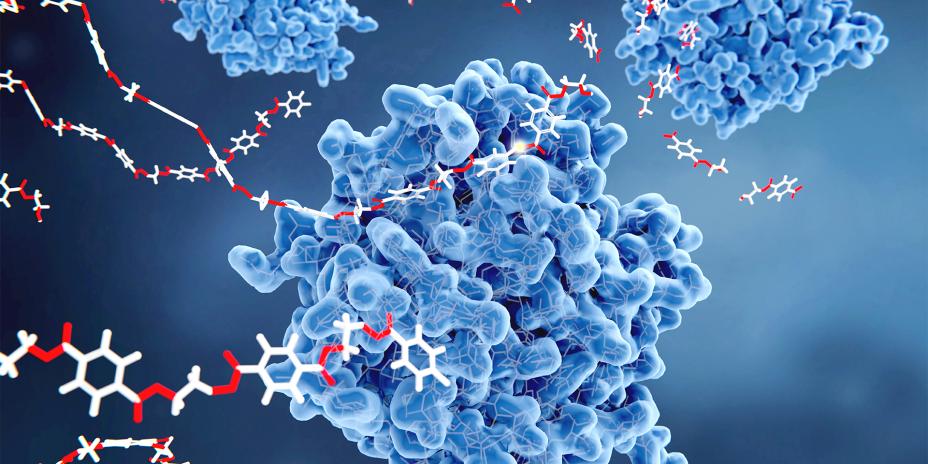 Illustration depicting PETase molecules breaking down PET-plastic.