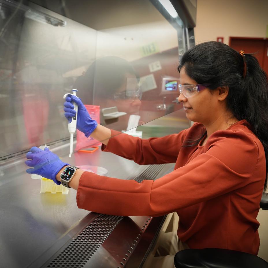 Aishwarya Santosh Desphande works in a laboratory at the Environmental Molecular Sciences Laboratory