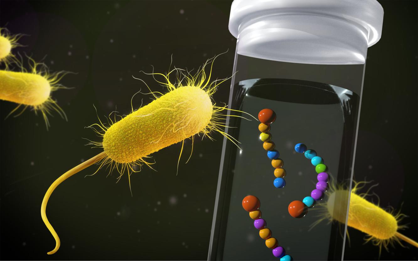 Scientists tested two platforms for quantifying peptides and found the microflow platform had comparable sensitivity to the nanoflow platform, but better mass spectrometry signal and chromatography stability. Illustration by Nathan Johnson  |  Pacific Northwest National Laboratory.