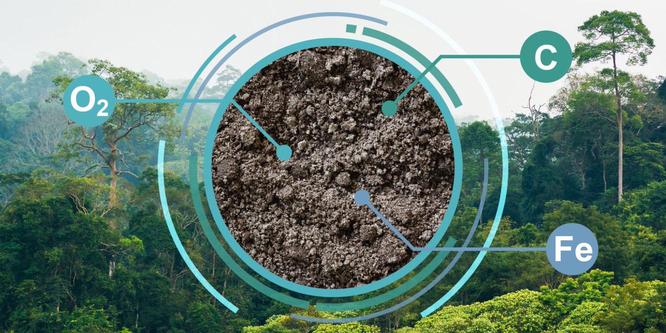 soil, tropical trees, and abbreviations for oxygen, carbon, and iron