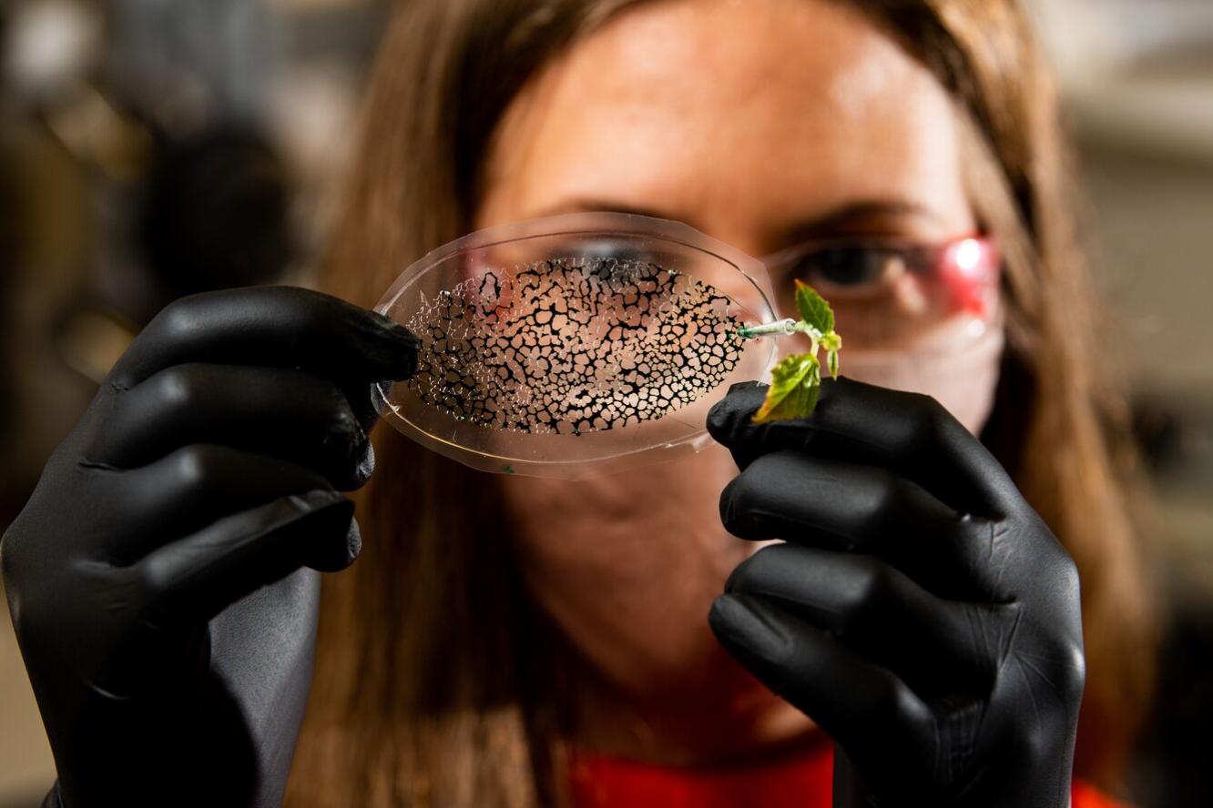 researcher in gloves holds a transparent sample