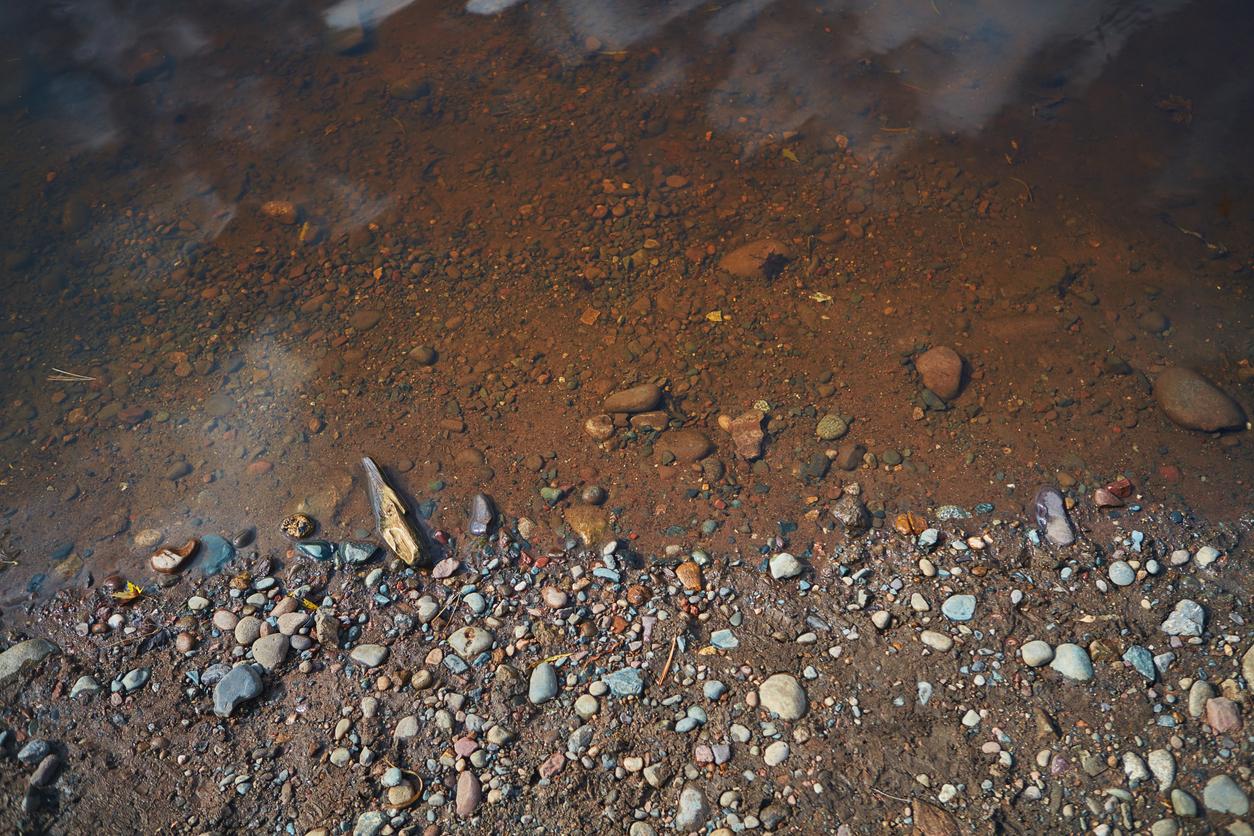 Columbia River river rock