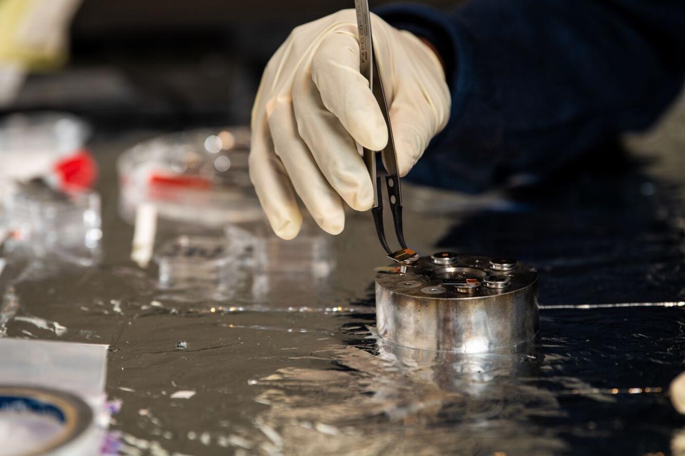 researcher holds gold patterned sample on a silicon wafer.