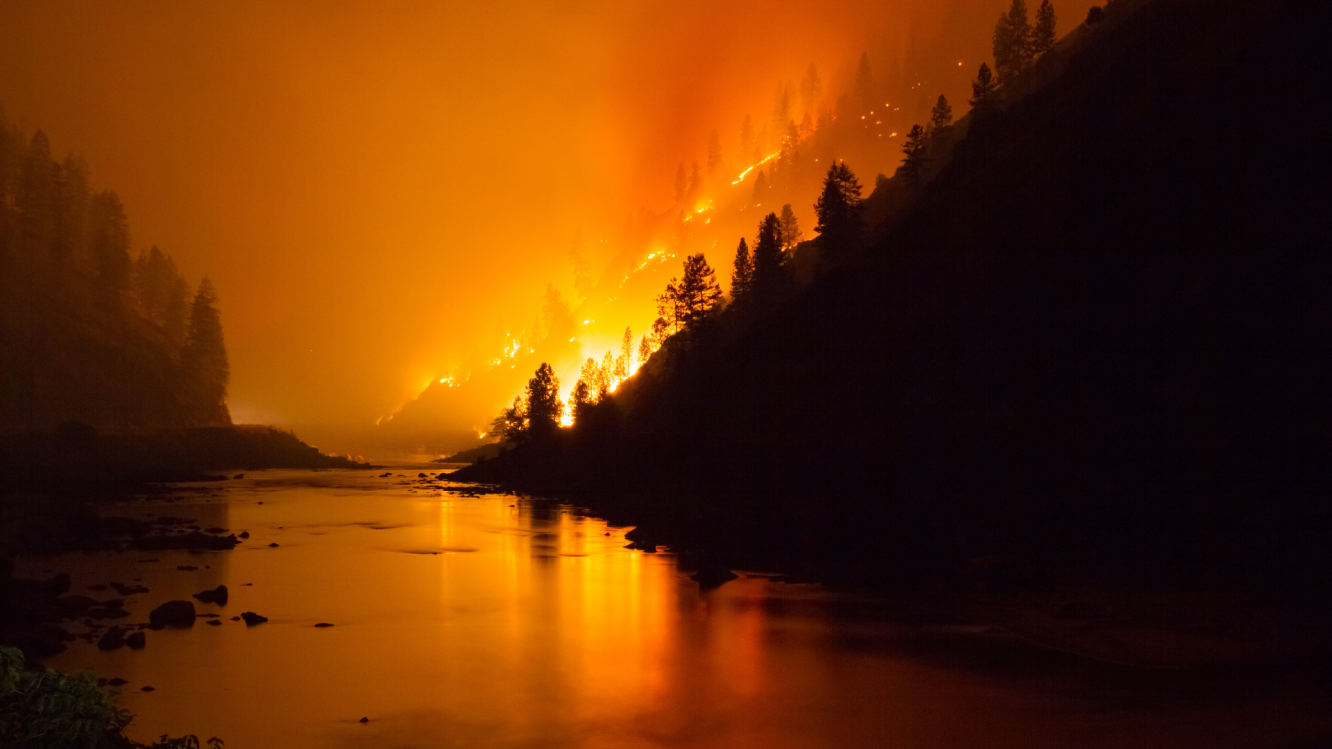 wildfire on hillside near body of water