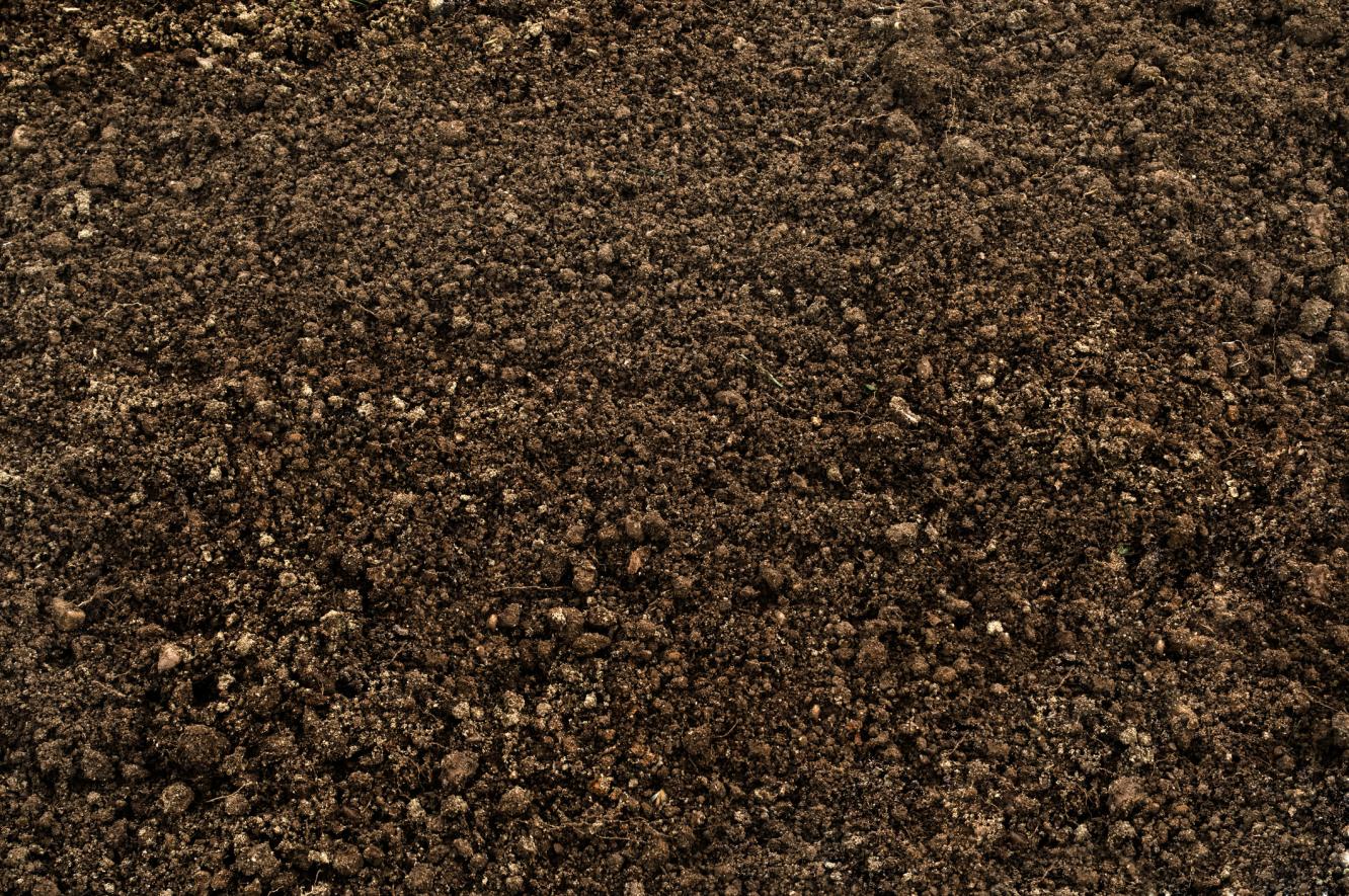 soil