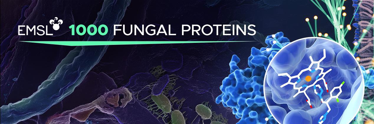 EMSL logo, 1000 Fungal Proteins
